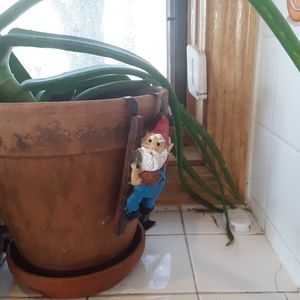 Flower Pot Hugger Gnome Man w/ Red Hat Climbing Ladder